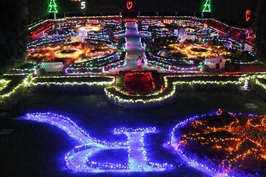 Hunter Valley Christmas Lights Spectacular Image -5b3ab8bf8f71b